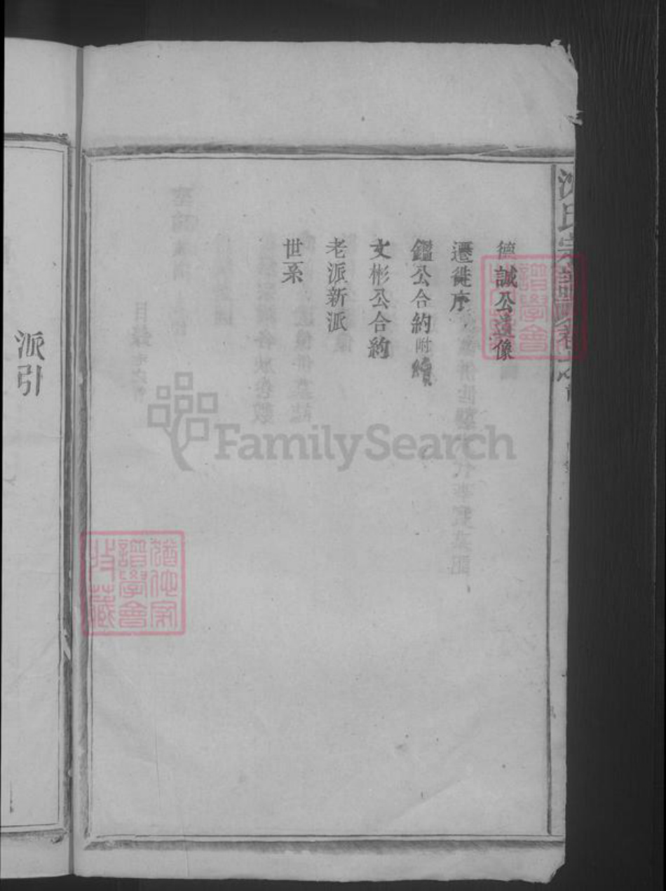 江西省九江市湖口县沈氏族谱-沈氏宗谱.pdf电子版插图3
