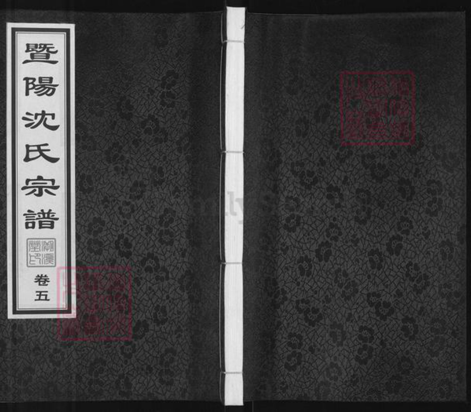 江苏省无锡市江阴市城东街道沈氏溯溪堂族谱-暨阳沈氏宗谱.pdf电子版