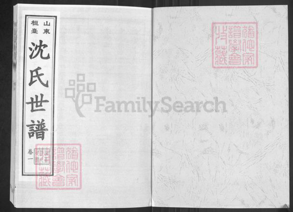 山东省淄博市桓台县新城镇沈氏族谱-山东桓台沈氏世谱.pdf电子版插图1 山东省淄博市桓台县新城镇沈氏族谱-山东桓台沈氏世谱.pdf电子版插图1