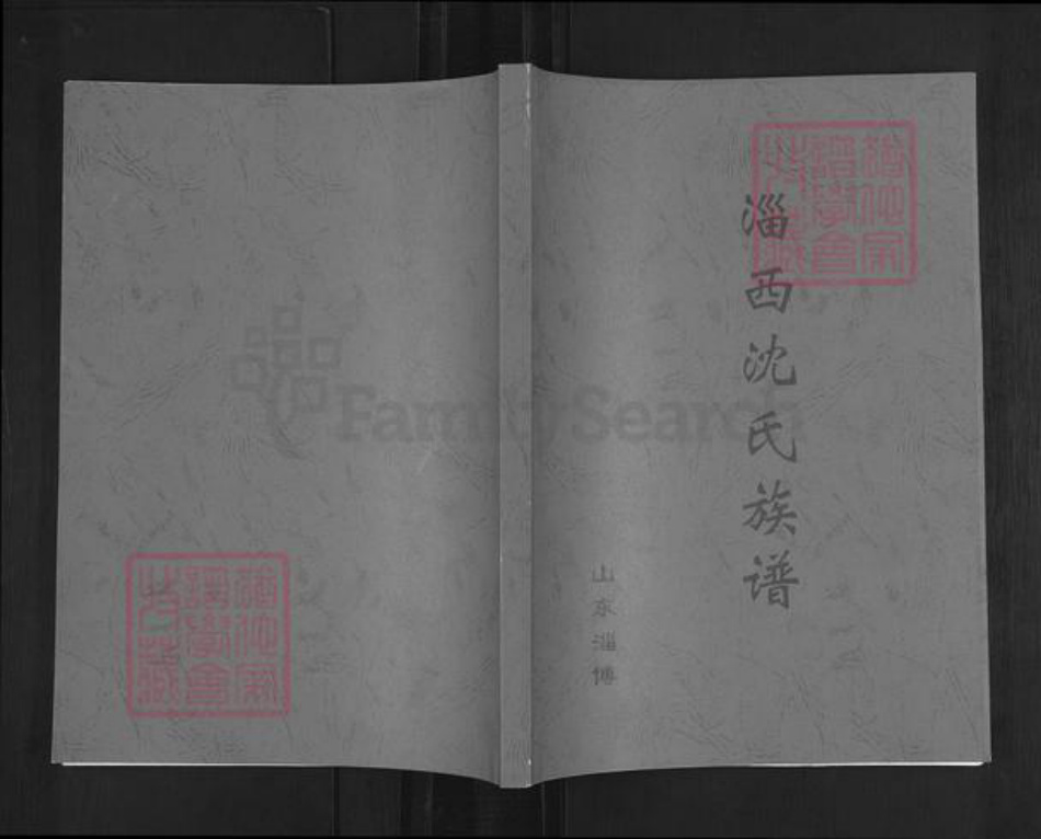 山东省淄博市周村区沈氏族谱-淄西沈氏族谱.pdf电子版