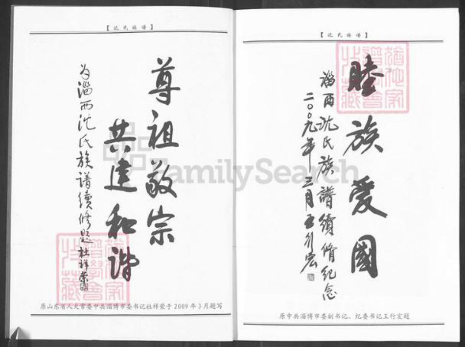 山东省淄博市周村区沈氏族谱-淄西沈氏族谱.pdf电子版插图2