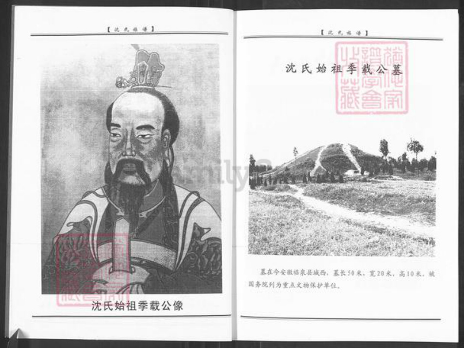 山东省淄博市周村区沈氏族谱-淄西沈氏族谱.pdf电子版插图3