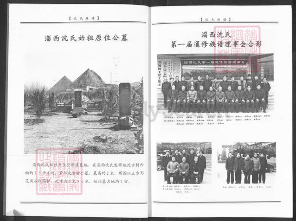 山东省淄博市周村区沈氏族谱-淄西沈氏族谱.pdf电子版插图4