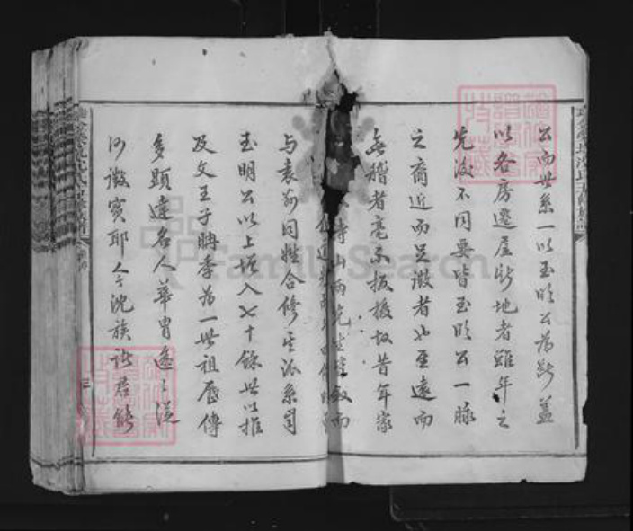 江西省赣州市瑞金市瑞林镇沈氏族谱-荣坑沈氏五修族谱.pdf电子版插图3