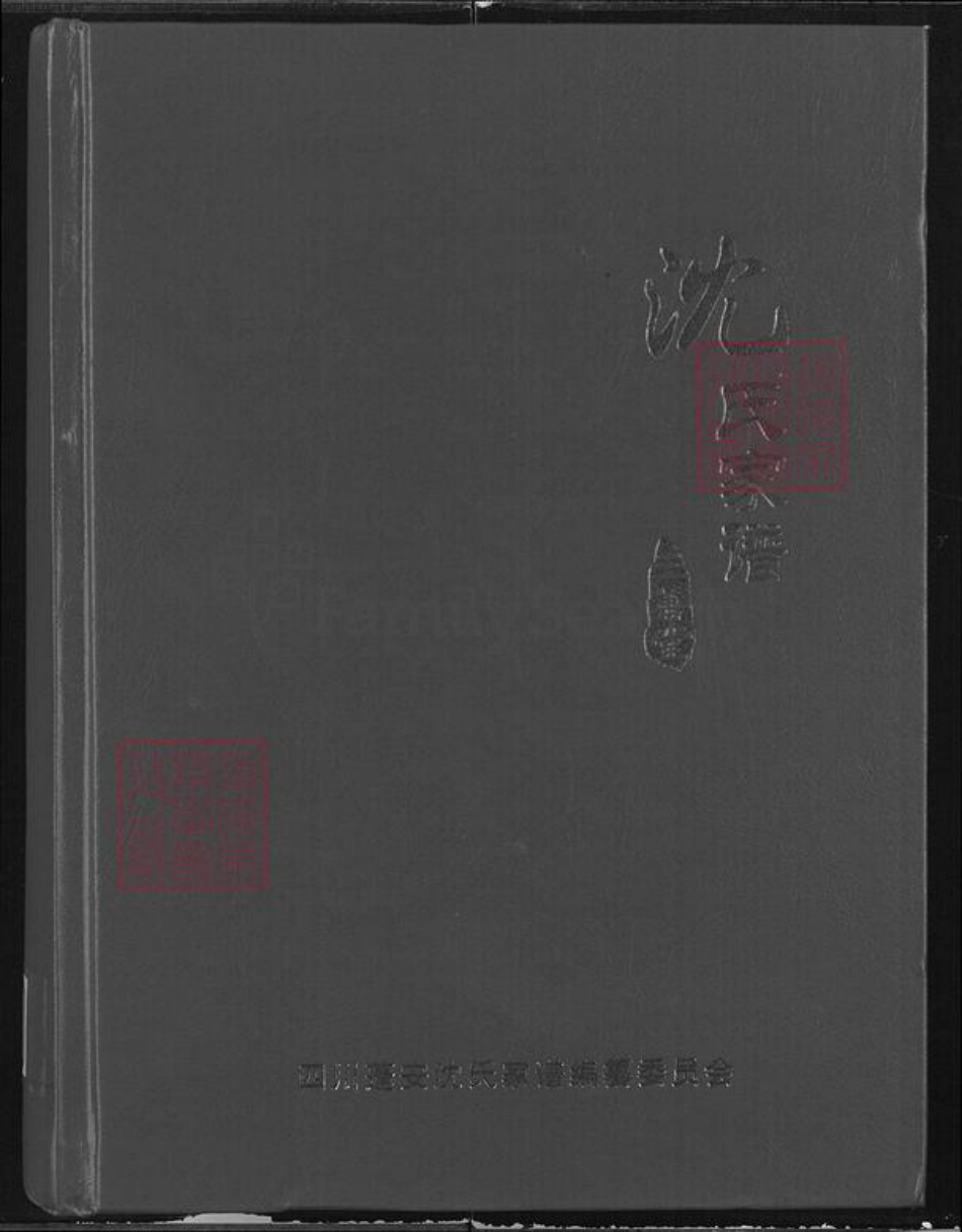 四川省南充市蓬安县相如街道沈氏三善堂族谱-沈氏家谱.pdf电子版