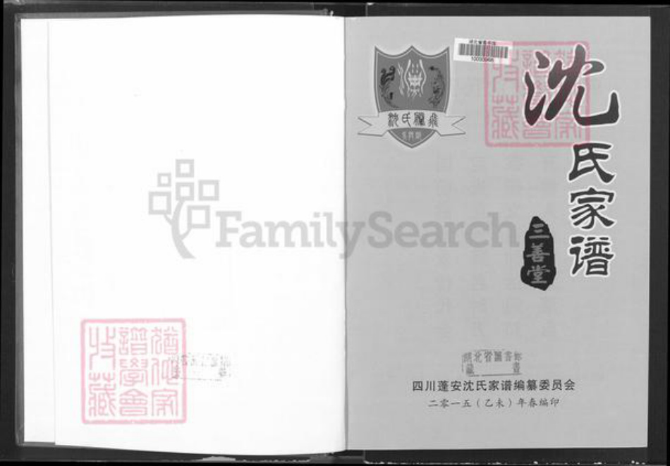 四川省南充市蓬安县相如街道沈氏三善堂族谱-沈氏家谱.pdf电子版插图2