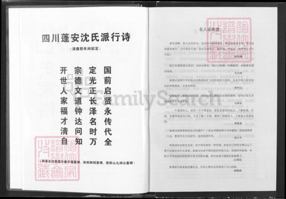 四川省南充市蓬安县相如街道沈氏三善堂族谱-沈氏家谱.pdf电子版插图3