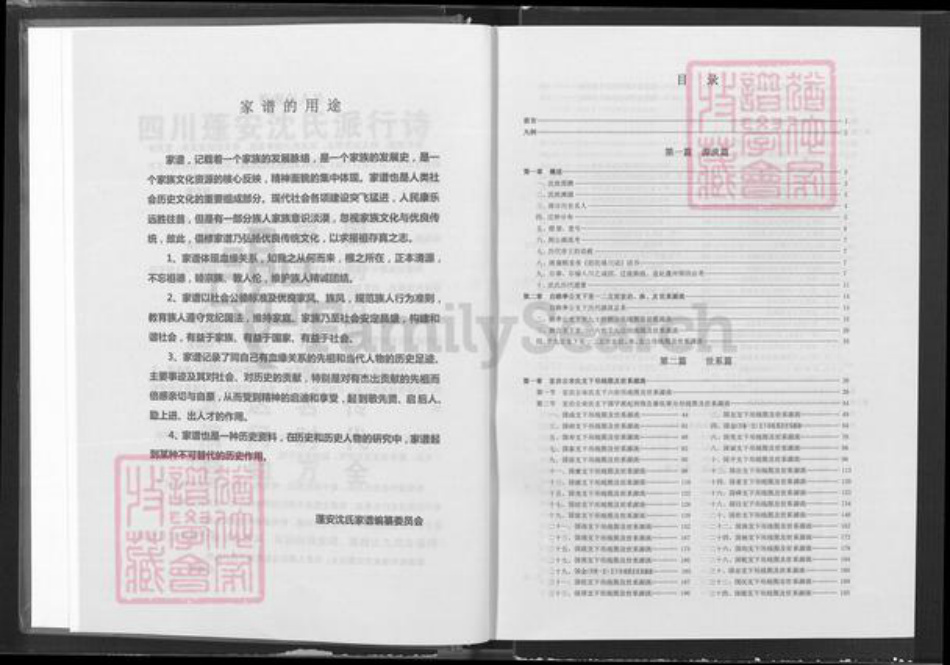 四川省南充市蓬安县相如街道沈氏三善堂族谱-沈氏家谱.pdf电子版插图4