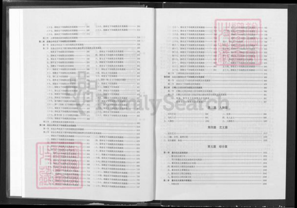 四川省南充市蓬安县相如街道沈氏三善堂族谱-沈氏家谱.pdf电子版插图5