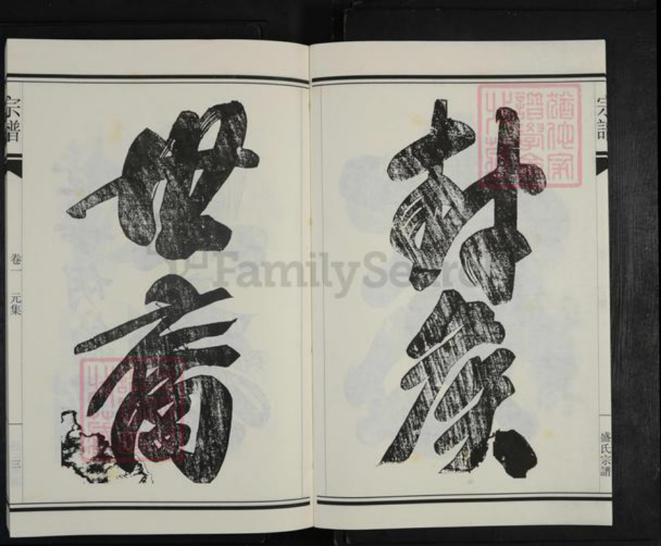 浙江省杭州市建德市洋溪街道盛氏新德堂族谱-严州盛氏新德堂宗谱.pdf电子版插图3