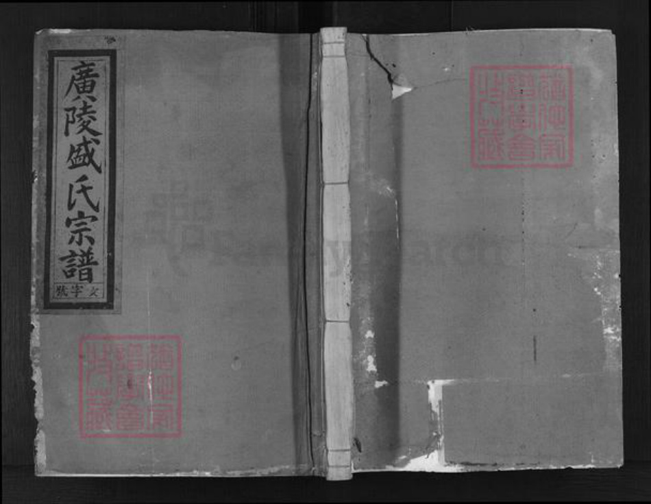 浙江省金华市婺城区盛氏敦本堂族谱-东盛东坂盛氏宗谱.pdf电子版插图 浙江省金华市婺城区盛氏敦本堂族谱-东盛东坂盛氏宗谱.pdf电子版插图