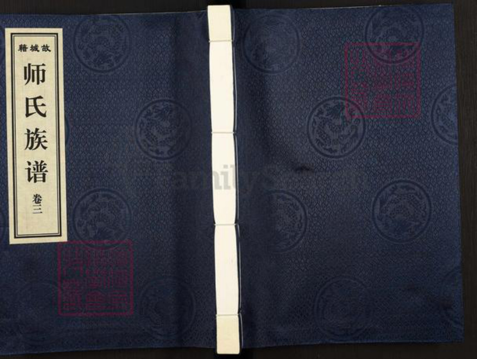 河北省衡水市故城县三朗镇师氏族谱-师氏族谱.pdf电子版