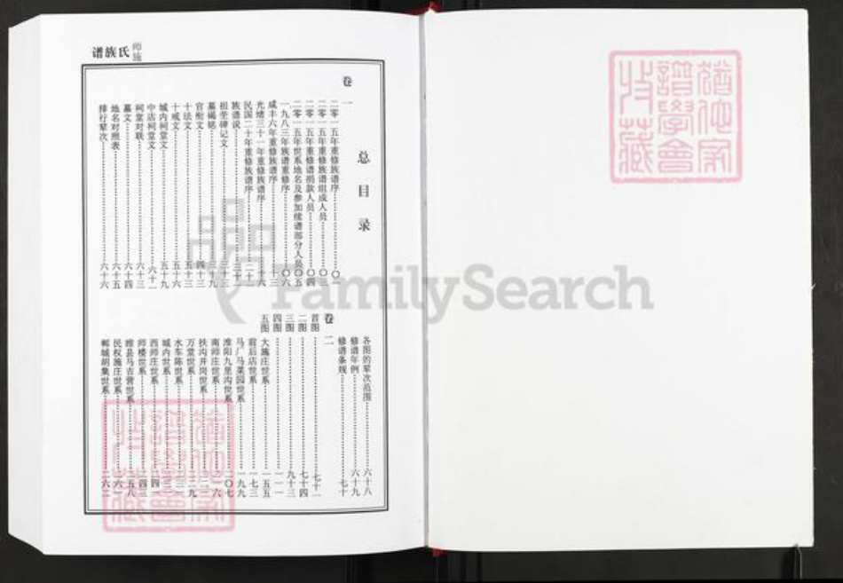 河南省周口市太康县施氏授琴堂族谱-豫东师施氏族谱.pdf电子版插图1