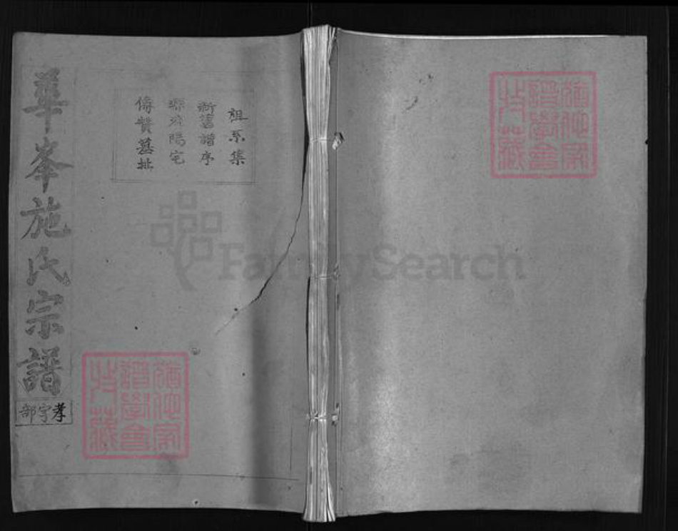 浙江省金华市金华施氏族谱-华峰施氏宗谱 [4卷].pdf电子版