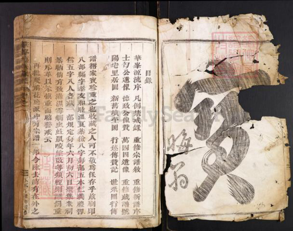 浙江省金华市施氏族谱-华峰施氏宗谱.pdf电子版插图2 浙江省金华市施氏族谱-华峰施氏宗谱.pdf电子版插图2