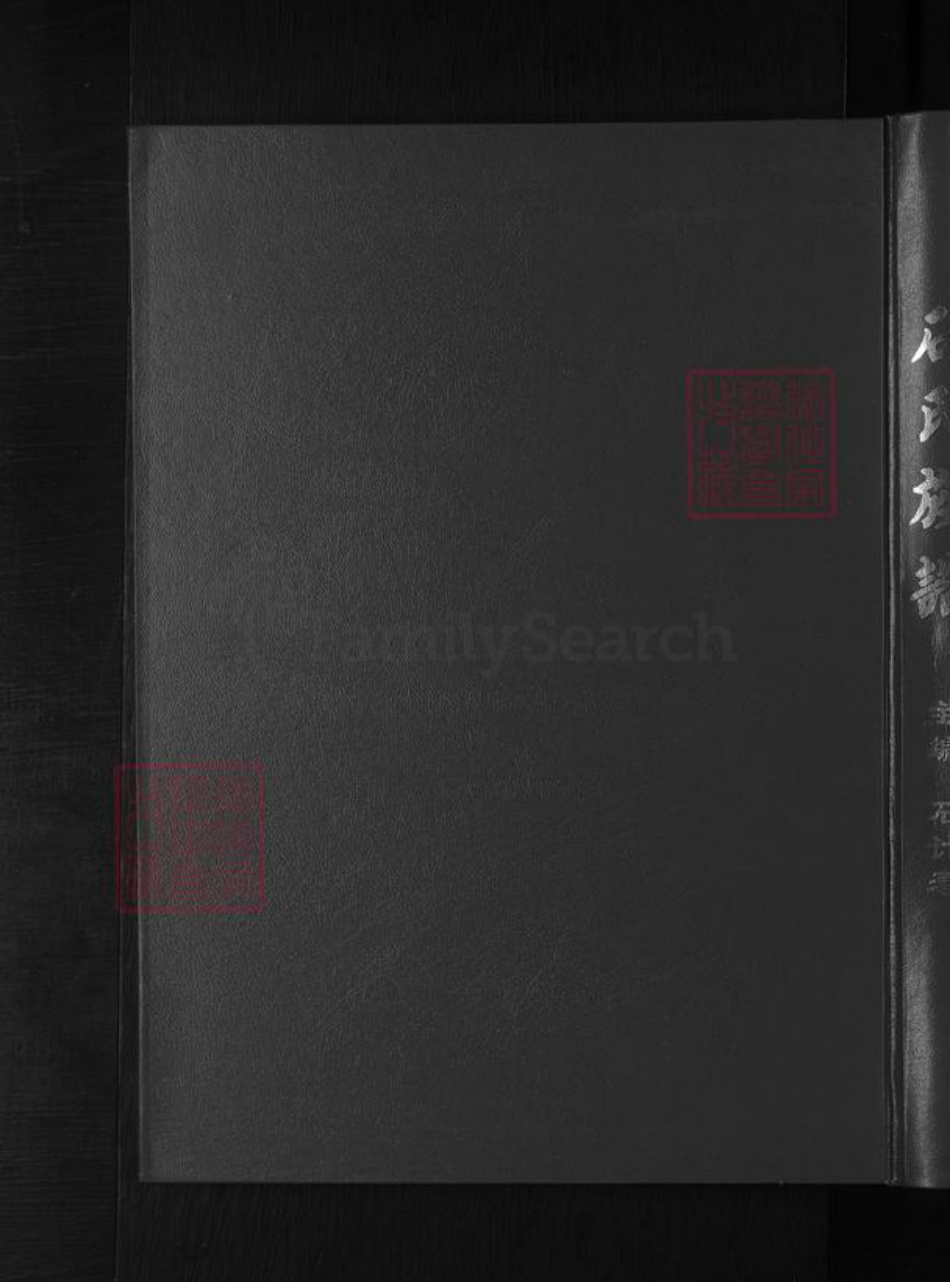 山西省忻州市石氏族谱-石氏族谱 [不分卷].pdf电子版