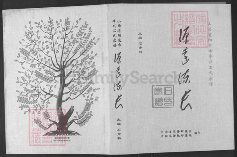 山西省阳泉市郊区平坦镇石氏族谱-石氏家谱.pdf电子版