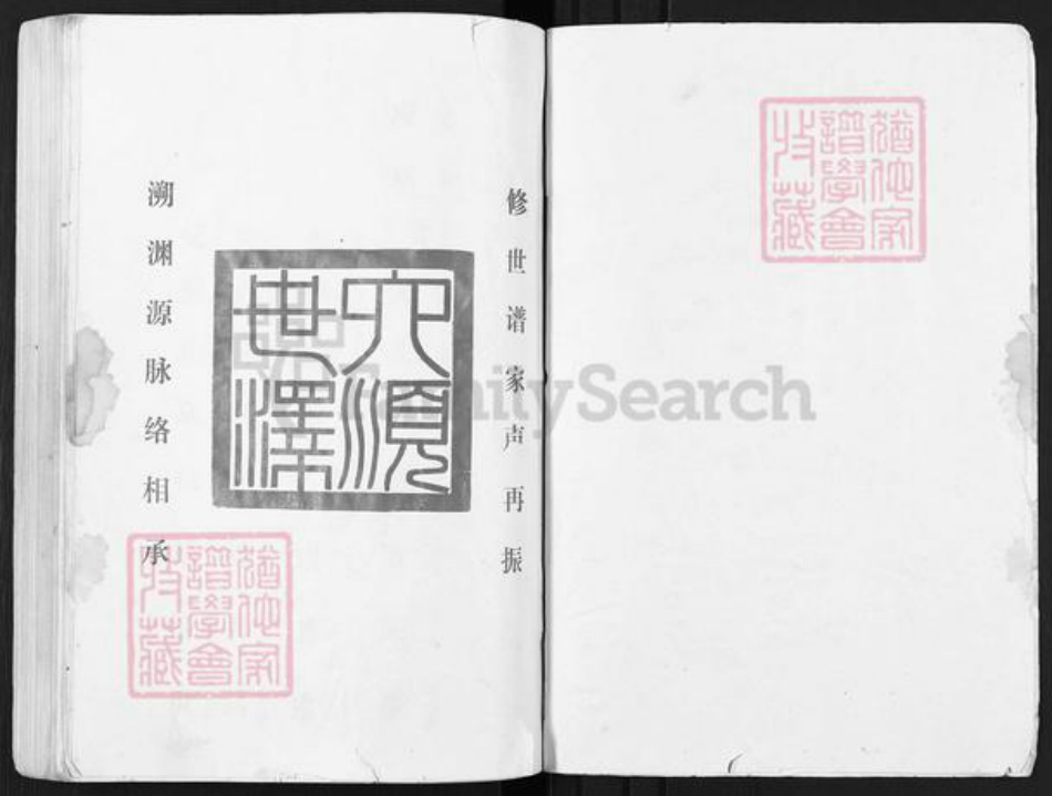 江苏省宿迁市泗阳县石氏六顺堂族谱-石氏宗谱.pdf电子版插图1