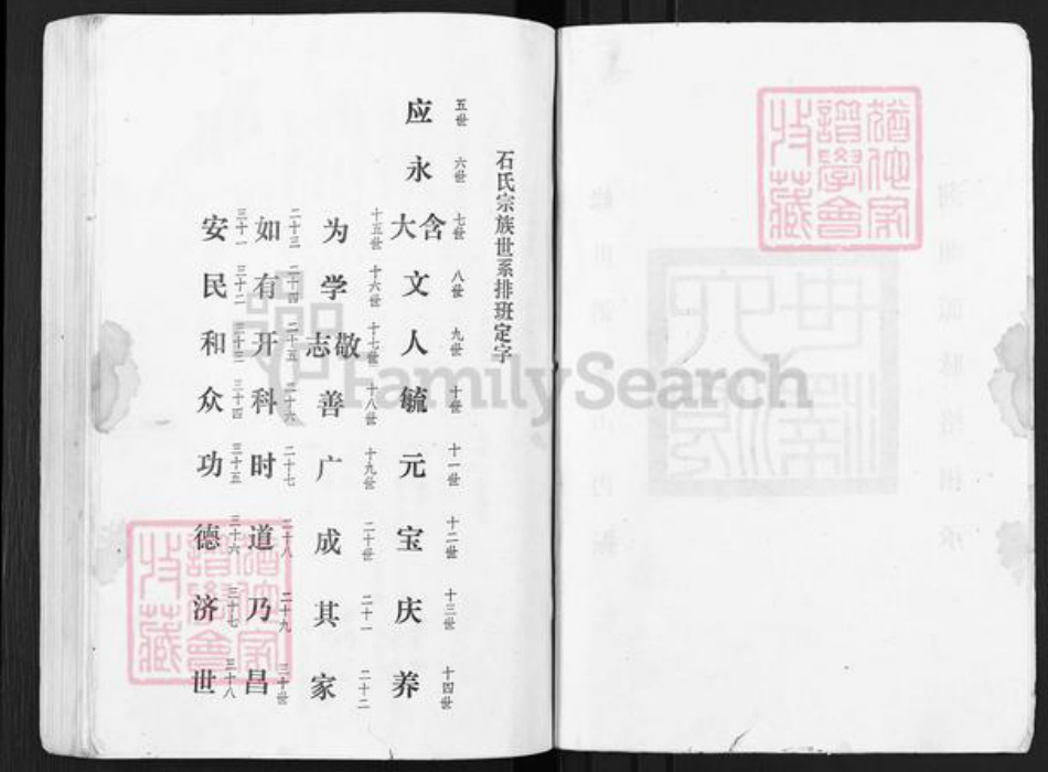 江苏省宿迁市泗阳县石氏六顺堂族谱-石氏宗谱.pdf电子版插图2