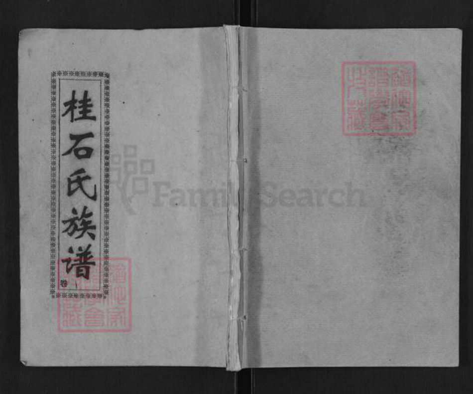 湖北省黄冈市浠水县巴河镇石氏树滋堂族谱-桂石氏族谱.pdf电子版插图