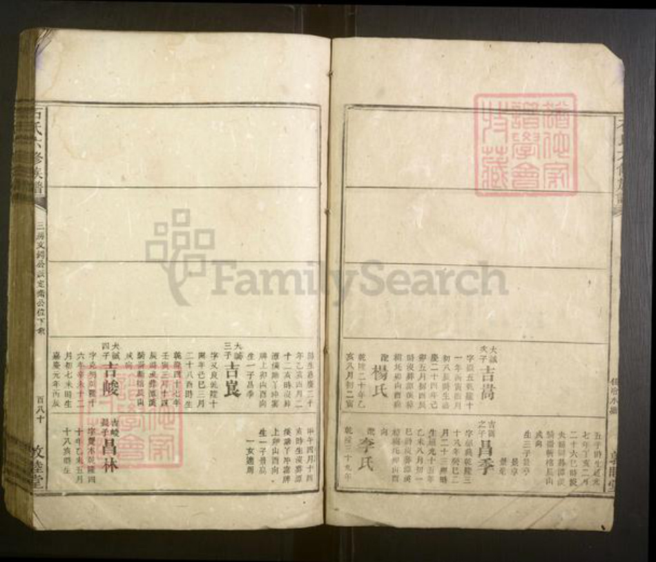 湖南省湘西土家族苗族自治州泸溪县石氏族谱-石氏六修族谱[不分卷].pdf电子版插图3