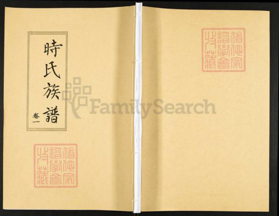山东省滨州市沾化区大高镇时氏族谱-时氏族谱.pdf电子版插图