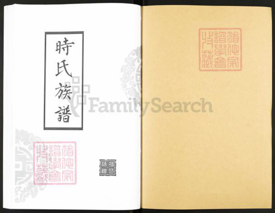 山东省滨州市沾化区大高镇时氏族谱-时氏族谱.pdf电子版插图1