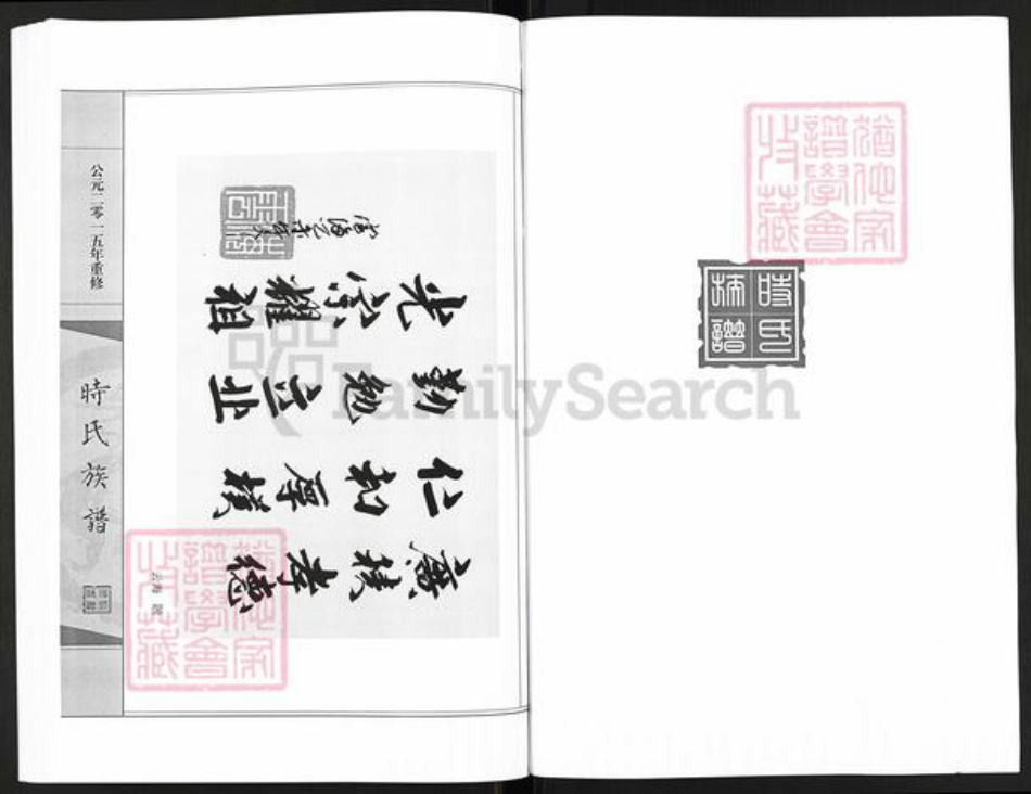 山东省滨州市沾化区大高镇时氏族谱-时氏族谱.pdf电子版插图5