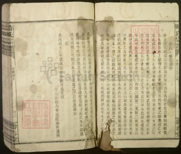 江西省九江市修水县时氏族谱-时氏宗谱[不分卷].pdf电子版插图5