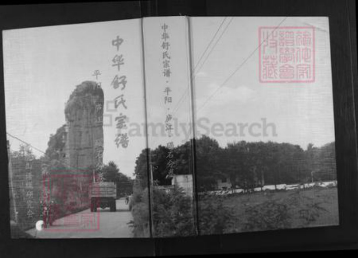 江西省鹰潭市贵溪市舒氏族谱-中华舒氏宗谱.平阳.庐江.碣石分卷.pdf电子版插图