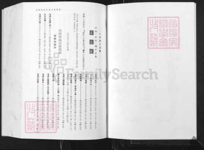 江西省鹰潭市贵溪市舒氏族谱-中华舒氏宗谱.平阳.庐江.碣石分卷.pdf电子版插图2