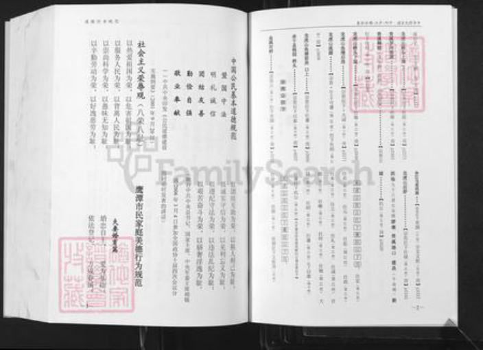 江西省鹰潭市贵溪市舒氏族谱-中华舒氏宗谱.平阳.庐江.碣石分卷.pdf电子版插图3