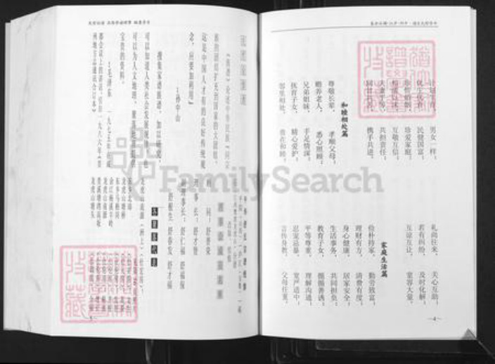 江西省鹰潭市贵溪市舒氏族谱-中华舒氏宗谱.平阳.庐江.碣石分卷.pdf电子版插图4