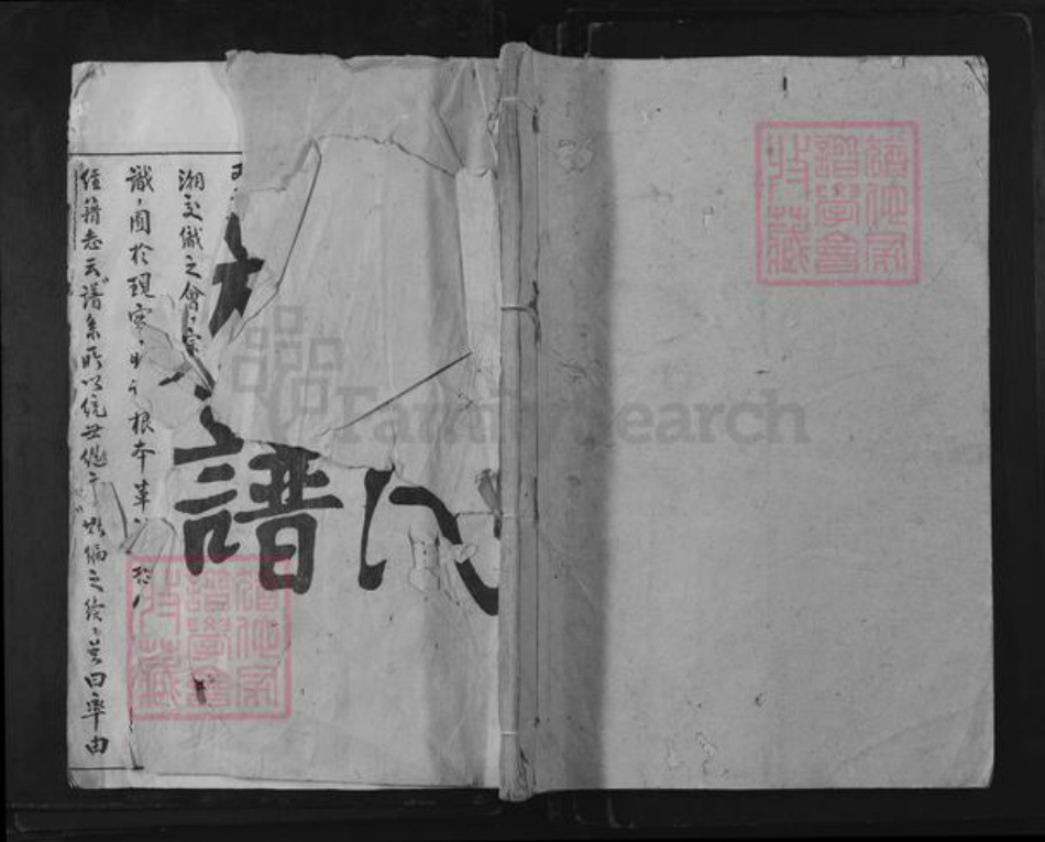 江西省宜春市铜鼓县永宁镇帅氏平原堂族谱-帅氏族谱.pdf电子版插图