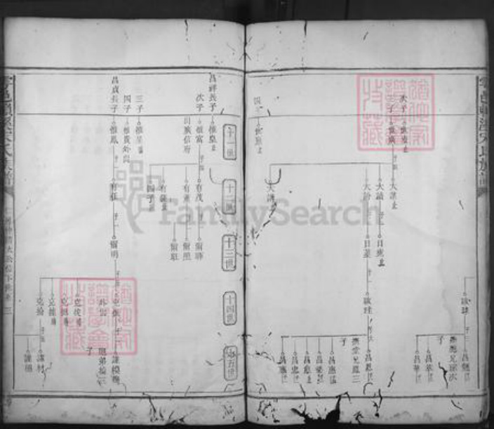 江西省赣州市宁都县赖村镇宋氏族谱-雩邑赖溪宋氏族谱.pdf电子版插图4