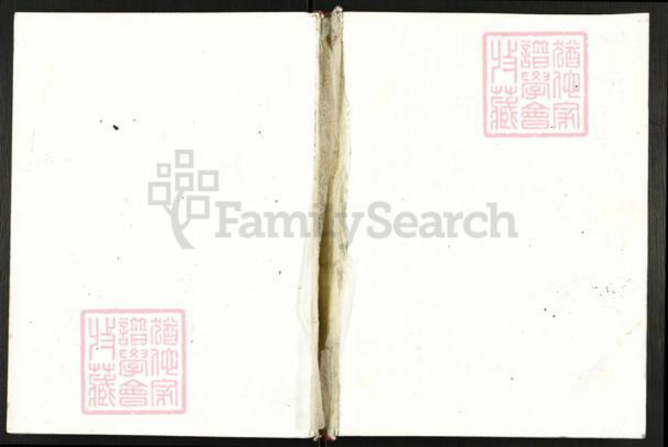 四川省广元市苍溪县中土镇宋氏族谱-宋氏族谱.pdf电子版插图
