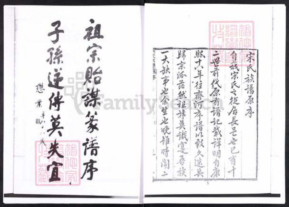 山东省滨州市邹平市魏桥镇宋氏务义堂族谱-山东邹平常山沟盈宋氏家谱.pdf电子版插图5