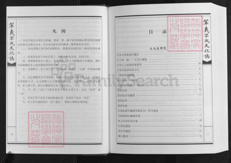 河南省郑州市巩义市宋氏族谱-巩义宋氏文化志[不分卷].pdf电子版插图2