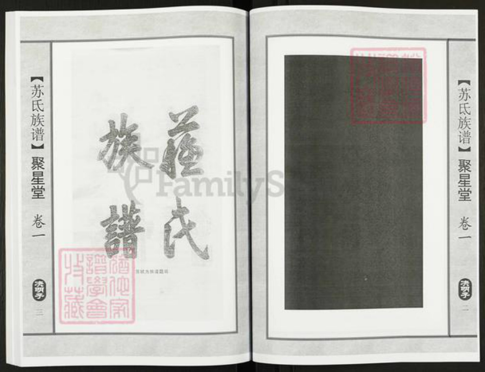 江苏省无锡市江阴市澄江街道苏氏聚星堂族谱-苏氏族谱.pdf电子版插图3