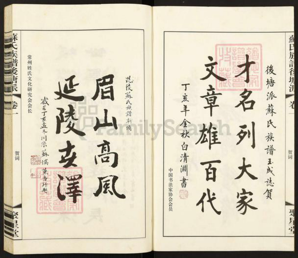 江苏省常州市天宁区郑陆镇苏氏聚星堂族谱-苏氏族谱后塘派.pdf电子版插图3