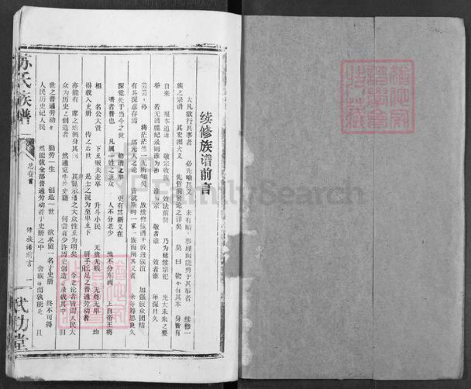 湖北省苏氏武功堂族谱-苏氏族谱.pdf电子版插图1