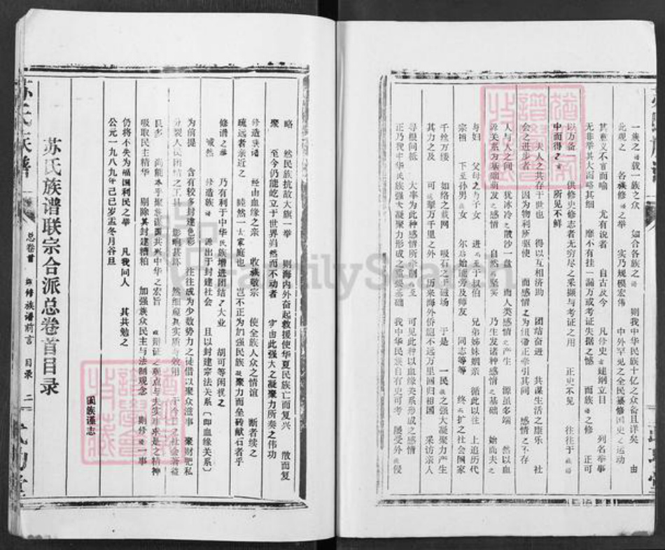 湖北省苏氏武功堂族谱-苏氏族谱.pdf电子版插图2