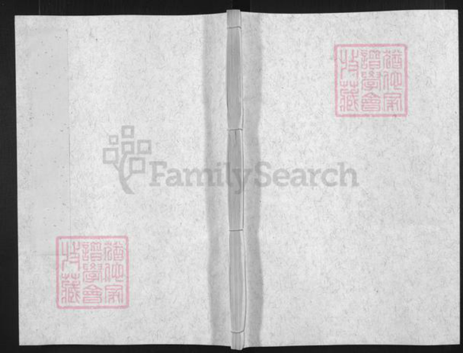 浙江省台州市仙居县仙居苏氏族谱-乐安苏氏宗谱.pdf电子版插图