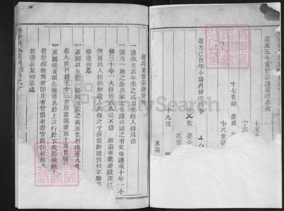 浙江省台州市仙居县仙居苏氏族谱-乐安苏氏宗谱.pdf电子版插图1