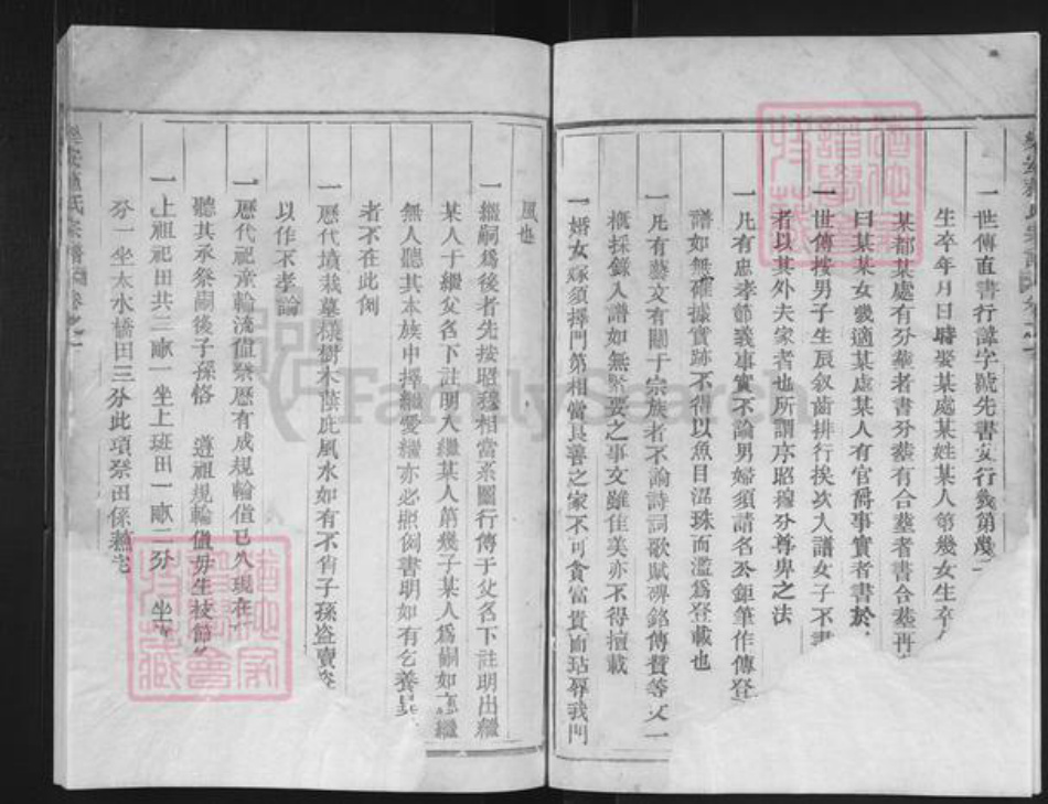 浙江省台州市仙居县仙居苏氏族谱-乐安苏氏宗谱.pdf电子版插图2