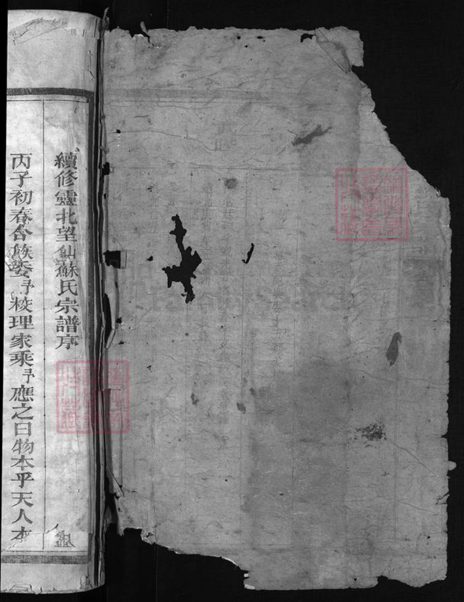 江西省上饶市苏氏族谱-苏氏宗谱 [8卷].pdf电子版插图1