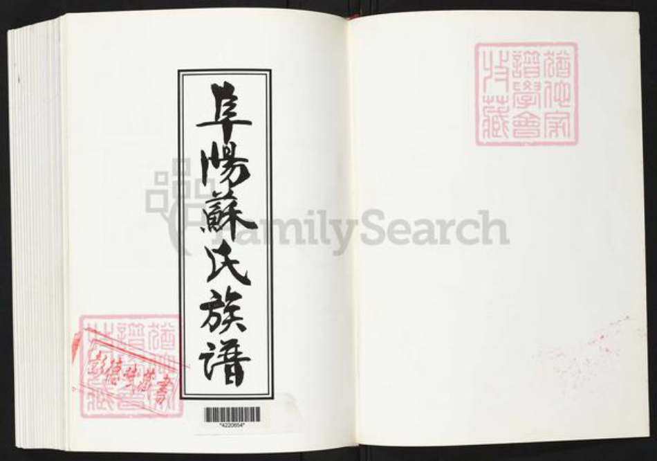 福建省泉州市南安市康美镇苏氏族谱-阜阳苏氏族谱.pdf电子版插图1