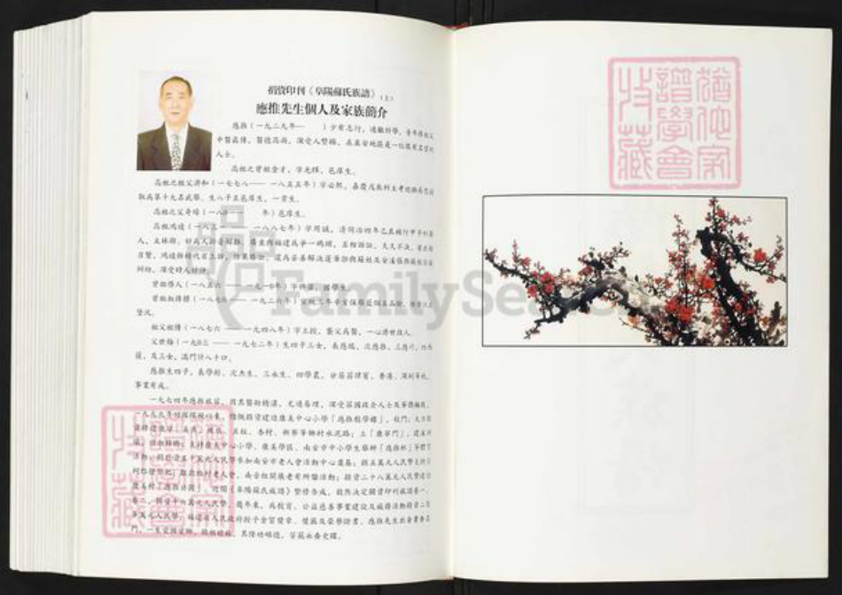 福建省泉州市南安市康美镇苏氏族谱-阜阳苏氏族谱.pdf电子版插图2