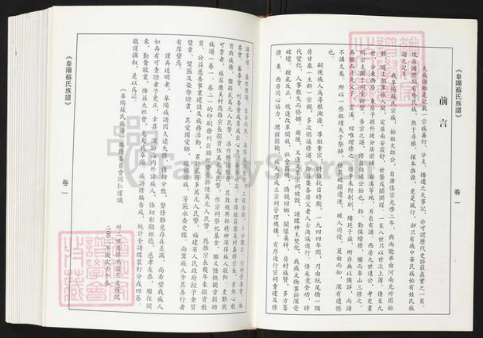 福建省泉州市南安市康美镇苏氏族谱-阜阳苏氏族谱.pdf电子版插图3
