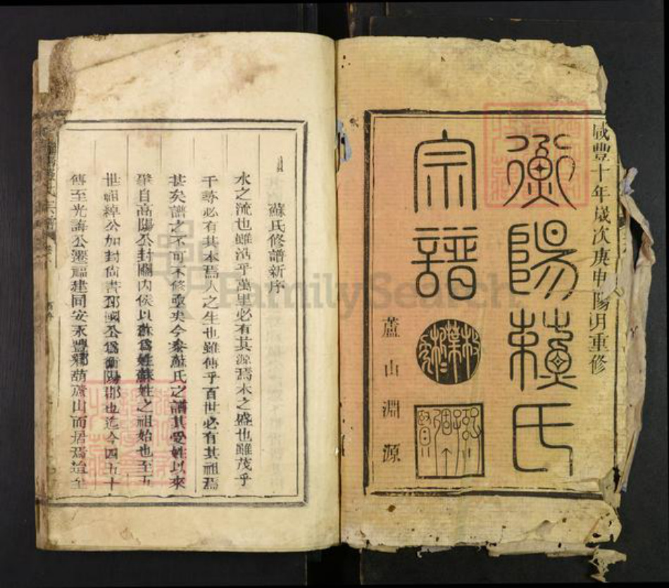 福建省泉州市安溪县长坑乡苏氏族谱-衡阳苏氏宗谱.pdf电子版插图1